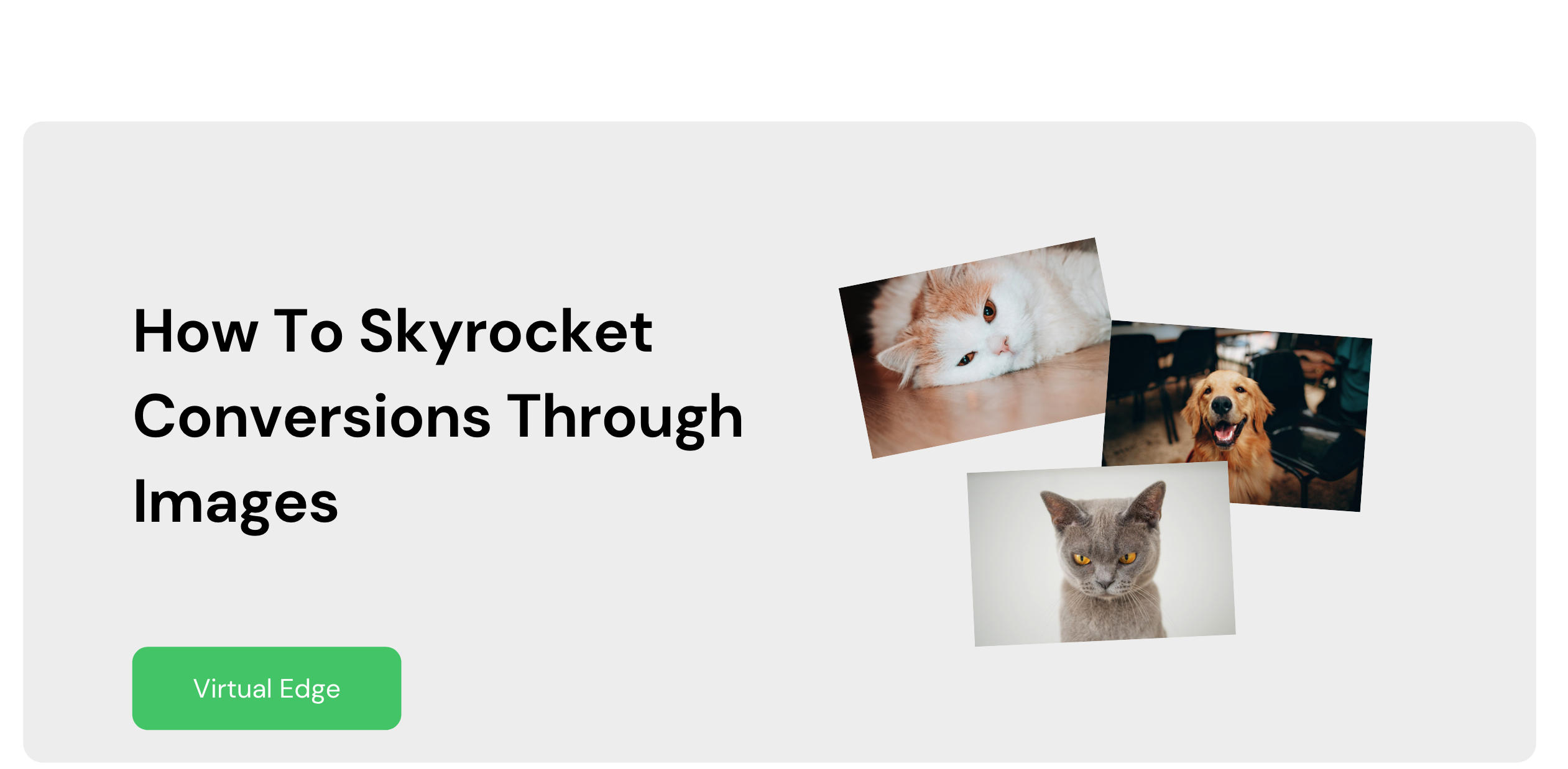 How To Skyrocket Conversions Through Images