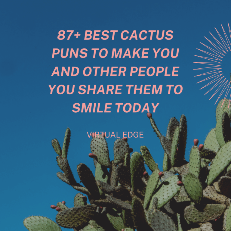 87+ Best Cactus Puns to Make You and Other People You Share Them to Smile Today