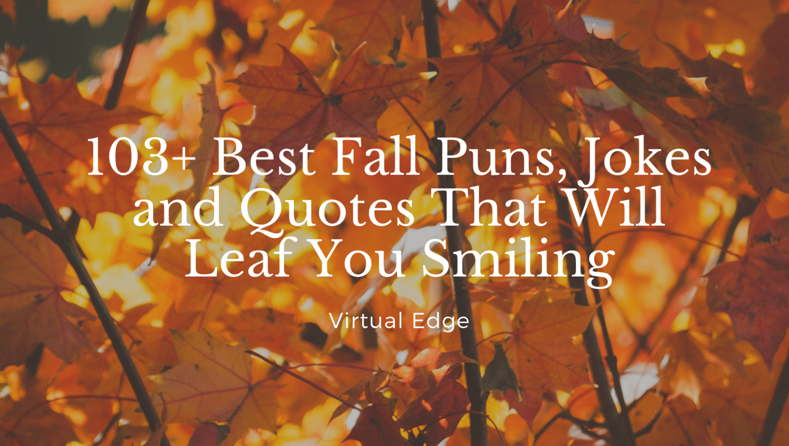 jokes funny autumn quotes